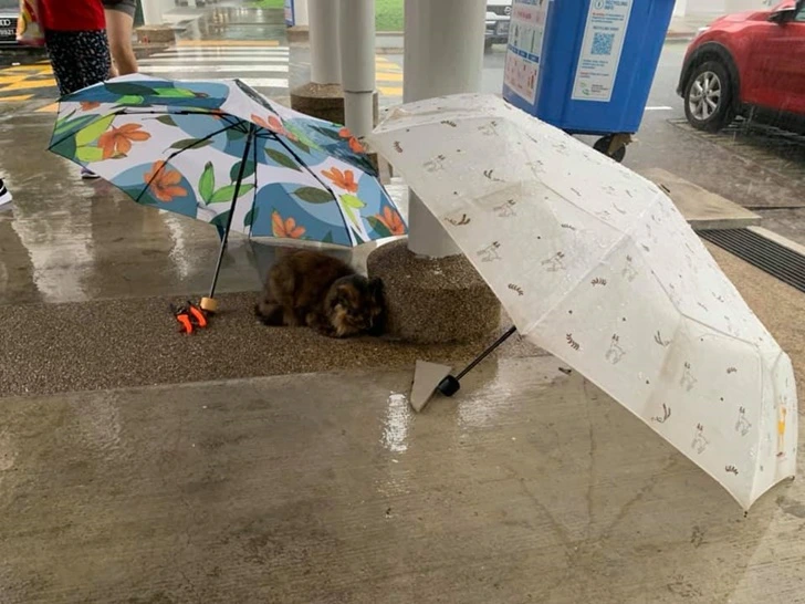 99314E395FB7D27D257B17