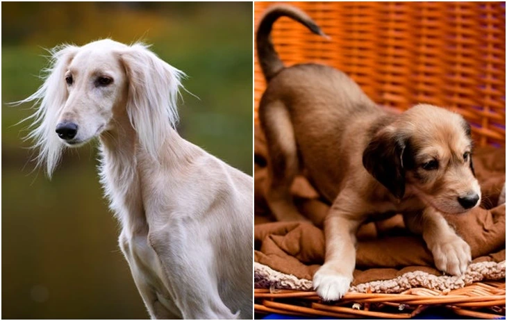 99C335475F71AB3F20E1FB