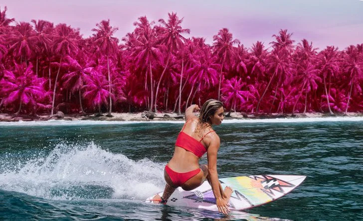 999F71355D356ADC065ED1