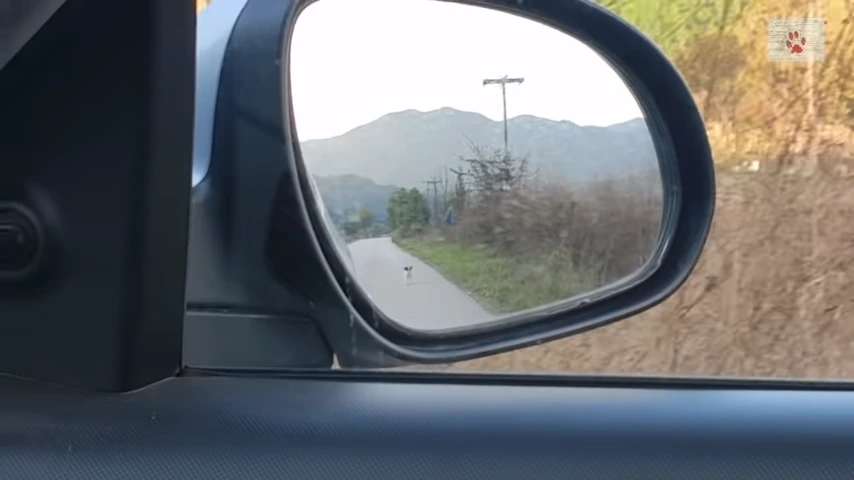 991EEB3E5FD97EA90F15E9