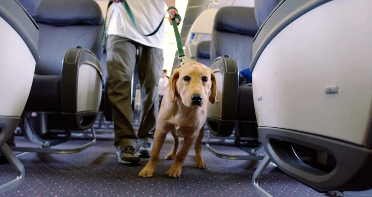 9963ED335D3C629A1BE99A