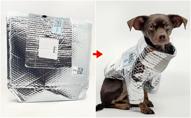 99F94F455FEFBE540CDEFB