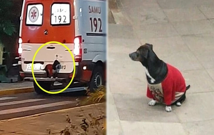 99C4EF3E5F9524130D33CF