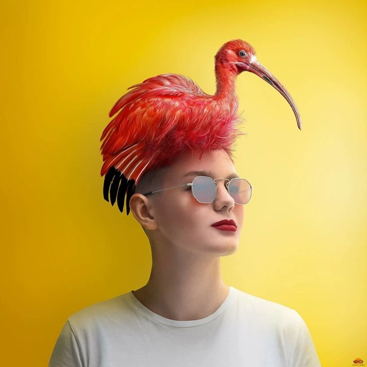 99C6C2385FD161F01157D4