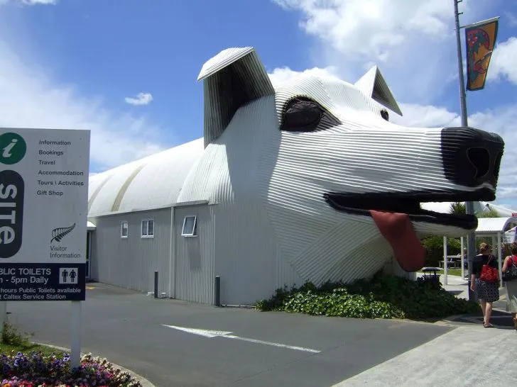 999198435D44385630CD77