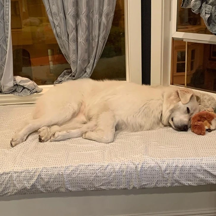 99FC09455F768913104106