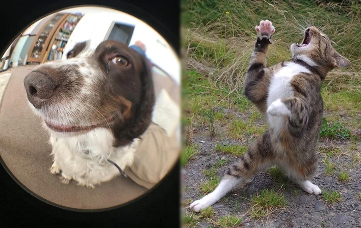 99313F395F1CCE3618C004