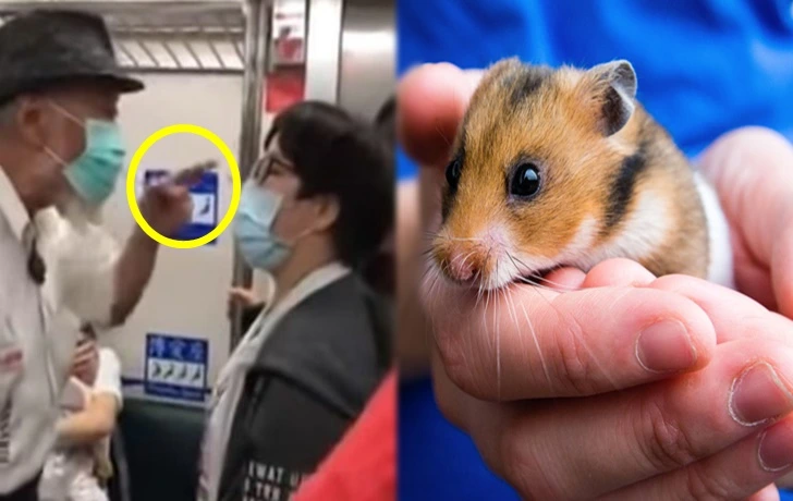 99528E385F5AB27F0E84B6