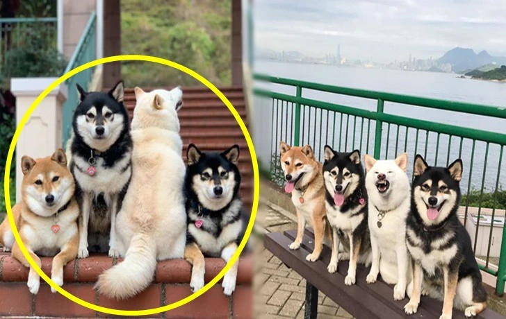 99E4AB3A5F5BFCD40D3F0E