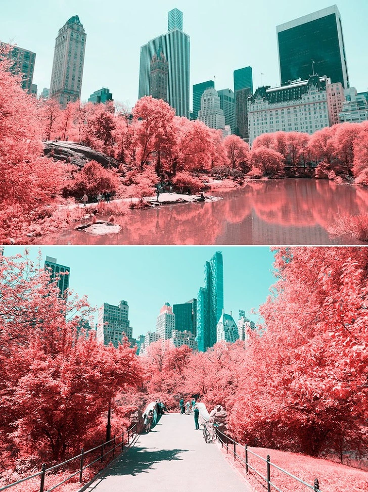 9946614E5CFF8E9A18036B