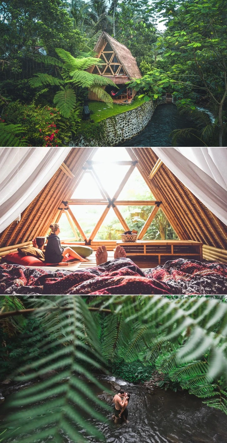 9977A9385CF9AE0C2FD9E5