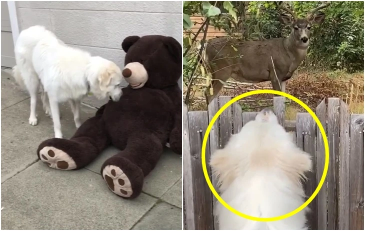 9984CA395F76891312E1C7