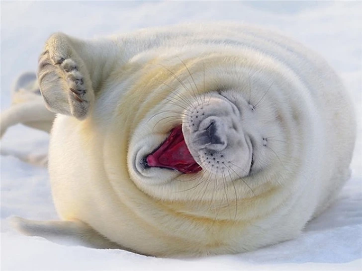 9912C3445F2CE03102DF13