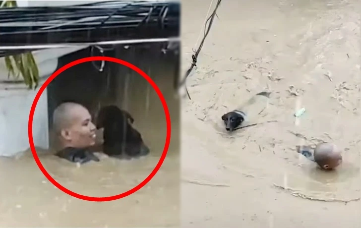 994B2E355FB1F7E01F3E99