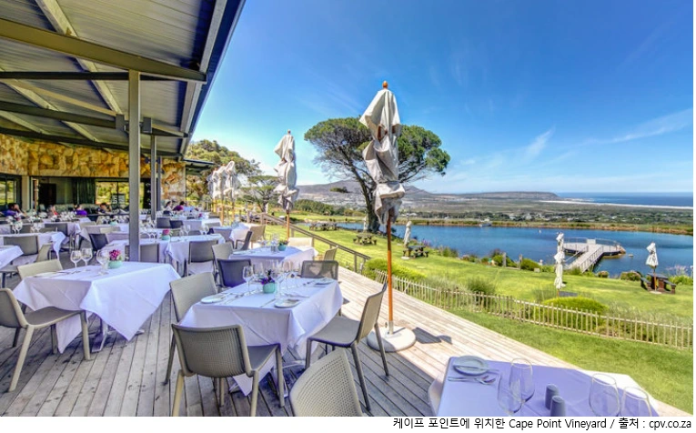 새해카운트다운 케이프다운.PNG