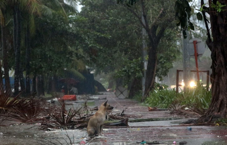 991DB34E5FB1F7E0202676