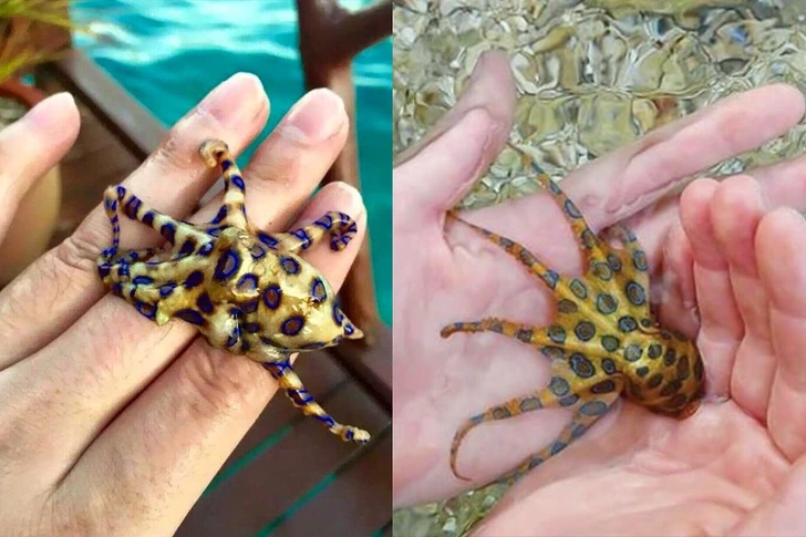 9994A24C5D3496071B8170