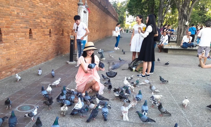 992F42345D96C5061A759A