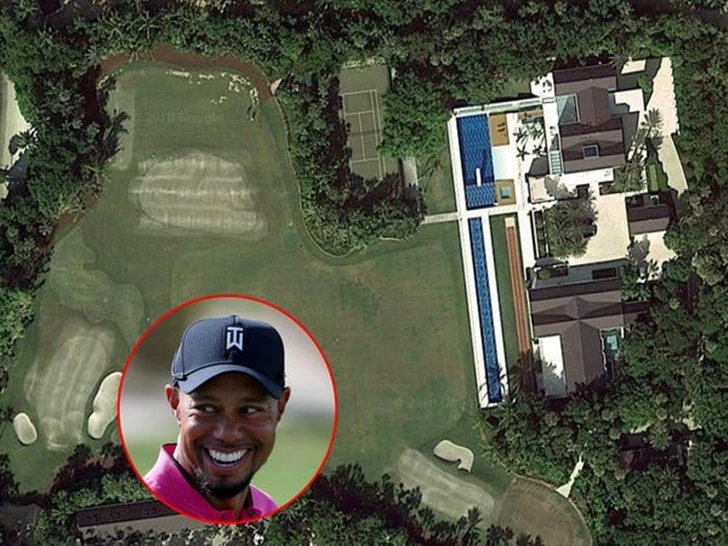 99F9DC445F5C4D60313BC6