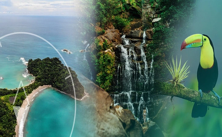 995006415FDB020F242937