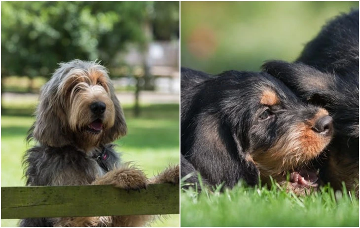 99F79B375F71AB3F1E6DEC