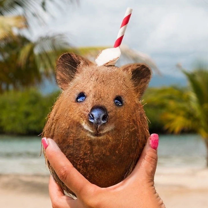 996953385F222EC32259C5