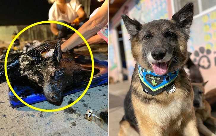 990F884A5F6043C104AFCA