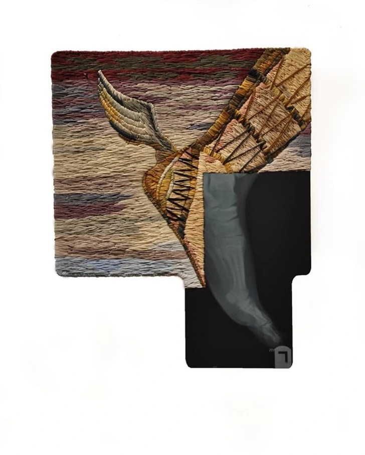 997A45425F5FE6510E6436