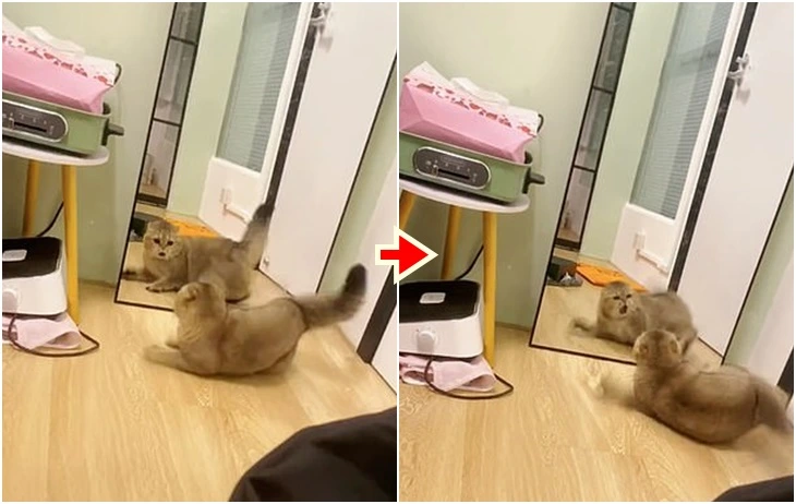 992195455FCEE4100ED4D8