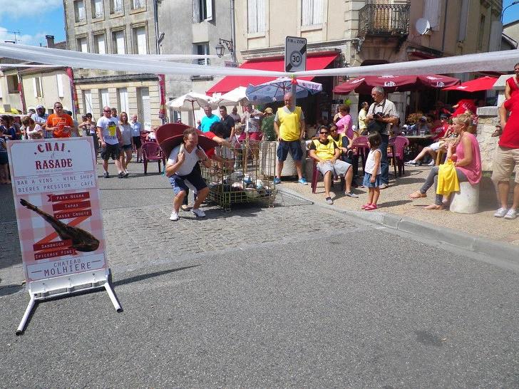 99CF4D455D0DBECE2EF66F