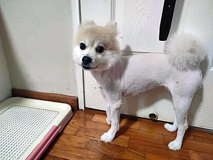 99CF81415FFD3A16121D1C