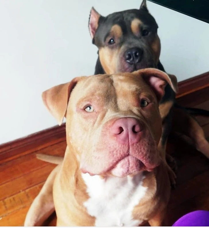 9968EC346008F8E00E7329