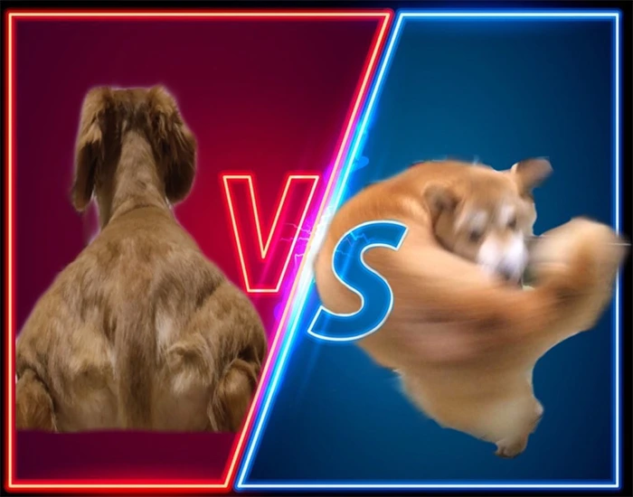 995C143D5F2A4DBF1031B8