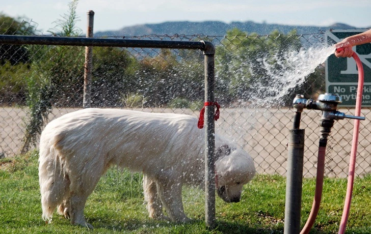 998E9D4A5F3FC22807654D