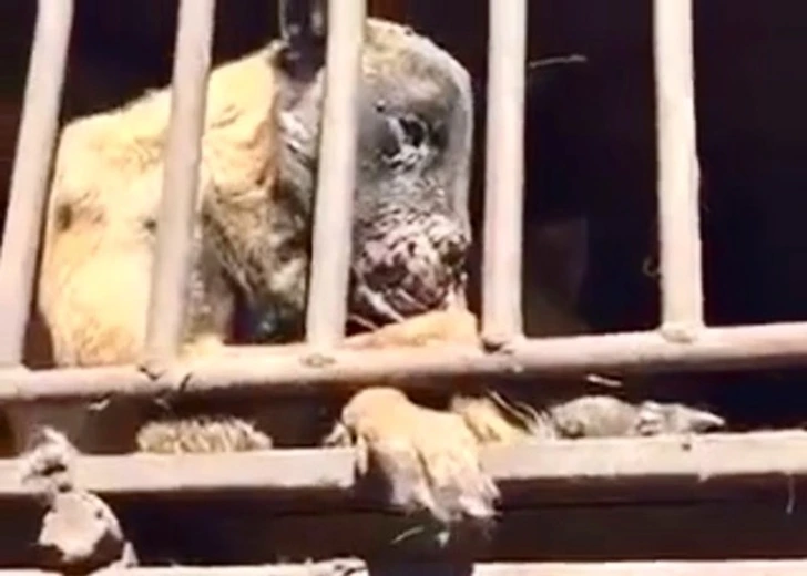 990156486012145A0C2123