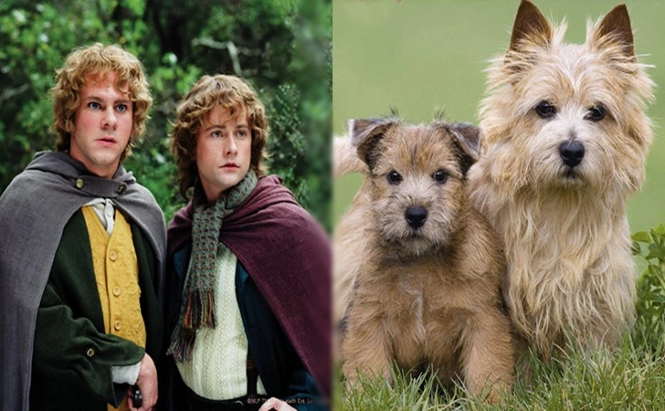 99BEF14C5FEECB241686F1