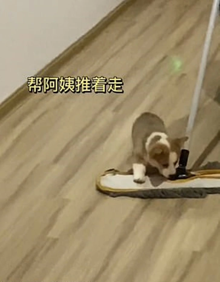 9969A03A5FF79696026AB2