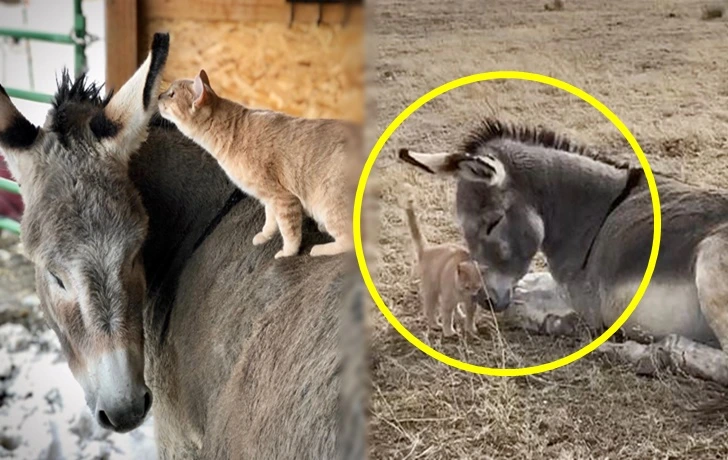 99845E465FA4B9FE1F87C5