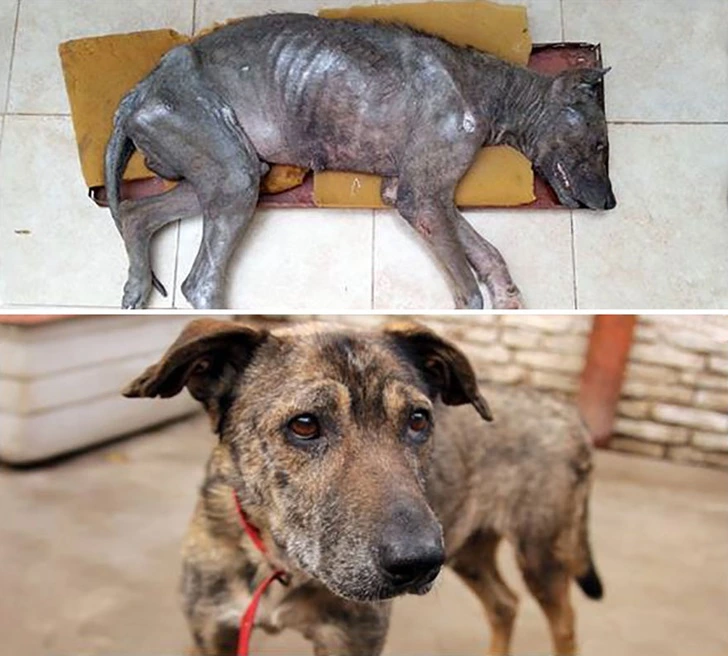 9956D53A5F605E38125076