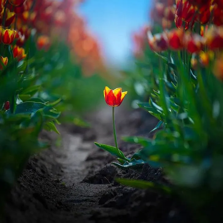 9933F54C5CCFD0021219D1