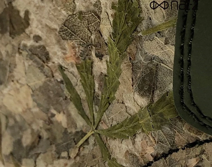 996D283B5D889BB72A165D