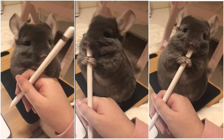 9982C6495FF51E89106EA4