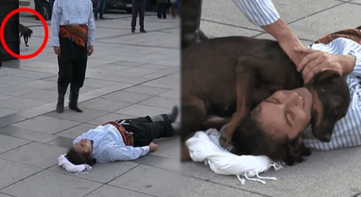 9974BC4A5F61AFA51AAED6