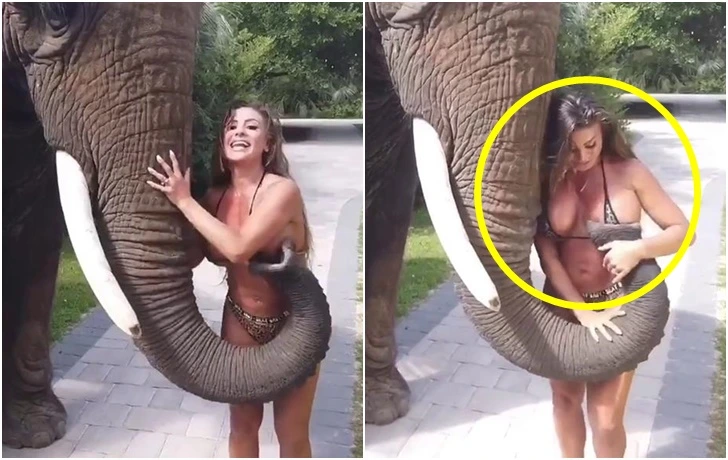 9941F4475F691F270EBF9C