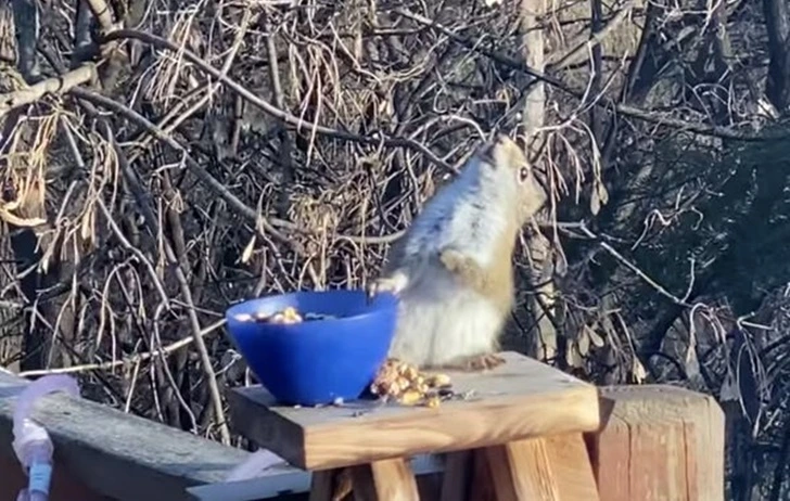 9961DC505FC3259715053C