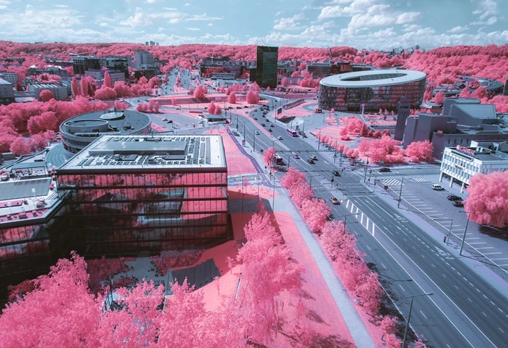 9946513D5F582E99179C2B