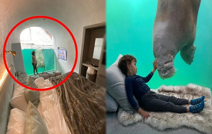 992C7F465F1CC4101455EA