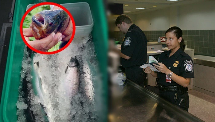 99A5063D5CD8FAEF06493C