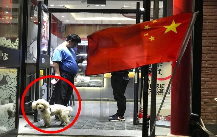 999338345FB5028F0F2E36