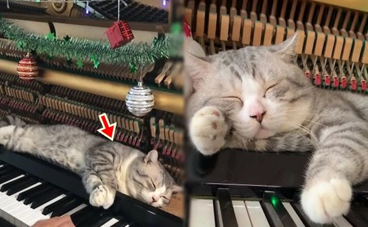 9972713D5FE8272D16B120